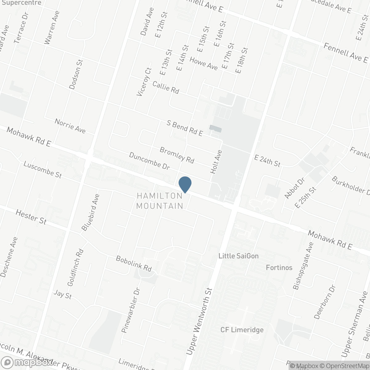 305 MOHAWK ROAD E, Hamilton, Ontario L9A 2J5